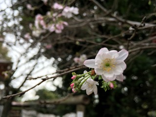 9A8A522C-3594-4C14-9D09-7BB0F45E2A32.jpeg