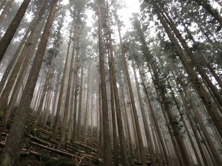 9B052AD3-A6D9-48E3-A504-FDCD40F47F8B.jpeg