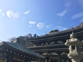 9BB8A4AA-529B-4077-83AA-D1A72D3C794E.jpeg