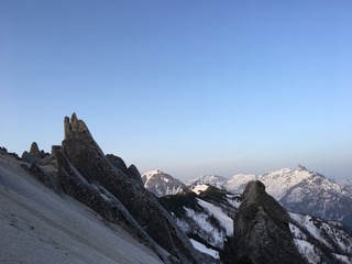 9D54A155-C2CA-49AB-9D07-B5077E744E87.jpeg