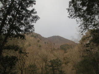 A1E44B85-7355-4D29-9ABF-ADA26A6F9939.jpeg