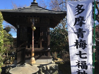 A3662768-7D65-41EC-80D7-3DF2A0D1C103.jpeg