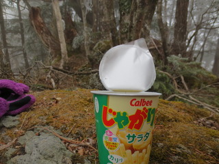 A3ECA7D3-F42D-4E6B-889E-BF65CC91C9E8.jpeg