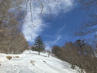 A71BCAE6-C0A5-4275-9577-8EFA4337AF9C.jpeg