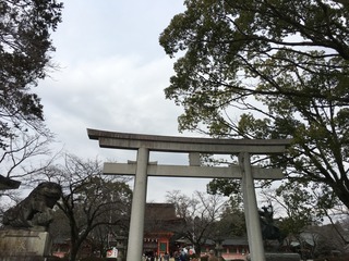 A73C0DAF-0767-4B08-8958-60F4B5461E20.jpeg