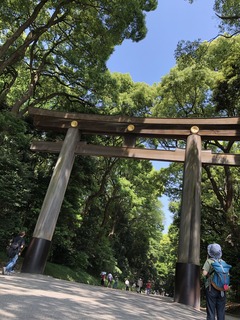 A7F65B6D-7AC0-4901-B2A1-98E4415089B9.jpeg
