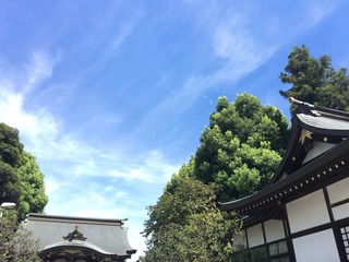 AA192E58-E93C-4C3B-A49A-CEE6D6BD3754.jpeg