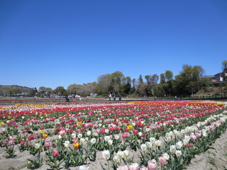ABADD721-5B85-4804-A502-F114CC47B13C.jpeg