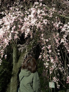 AC84707C-A86C-4CE8-A5A5-207F587C3B59.jpeg