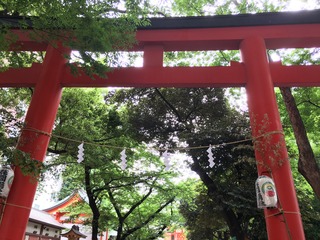 ACD9D132-41BE-4895-9FE0-1BD7484A69AE.jpeg