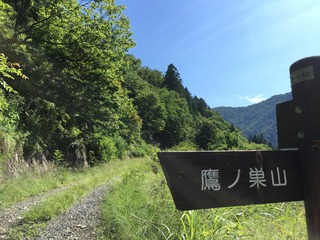ADF07BC2-DC3E-407B-8887-EBD4961D63ED.jpeg