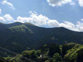 AE255521-C687-4787-862F-54462F09C9E1.jpeg