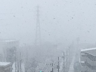 AEADF761-04C5-4881-9A9B-348927F73BED.jpeg