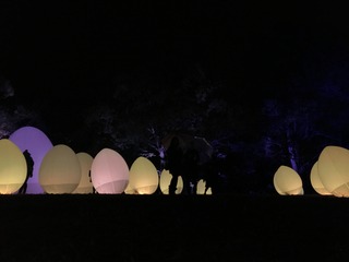 B1B80056-5173-4C32-B18A-83D4BDA8F8C9.jpeg