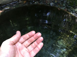 B4208820-7D60-45D3-82E2-3225FA97E797.jpeg