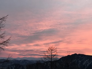 B74059DF-9E46-4967-833B-537BD669BFC5.jpeg