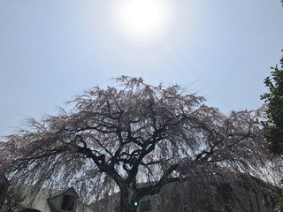 B741E036-F05C-4144-B4B5-998DD6A238A1.jpeg