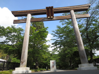 B78500F8-F4EF-4361-AA6D-7CD205C5BB81.jpeg