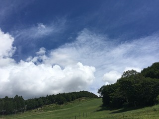 B7D50E73-2DE5-481D-AD51-7895B863D88E.jpeg