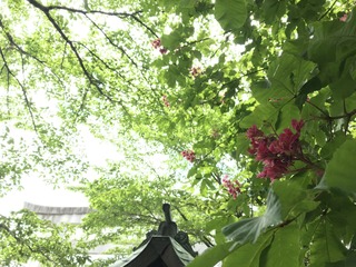 BCEE813E-B69F-469C-860E-A7F5D47EF72A.jpeg