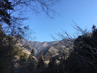 BEB0277B-8B9A-4F6B-B467-933573848E06.jpeg