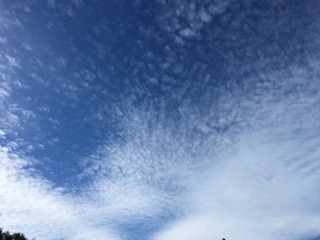 C1793240-ECFD-4867-B5E7-C6141C183462.jpeg
