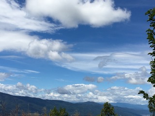 C2877D07-437E-48F1-9FE1-320E2EB6B99C.jpeg