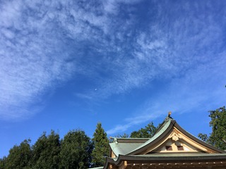 C714B50F-04A8-4239-B730-FA4E6D8CA5A5.jpeg