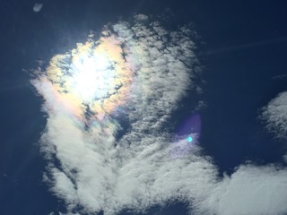 CB30BEF4-1B1A-45B7-A009-1FE5766BE0DC.jpeg