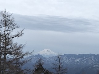 CEFC555B-DA52-4032-A41A-769FBA895729.jpeg