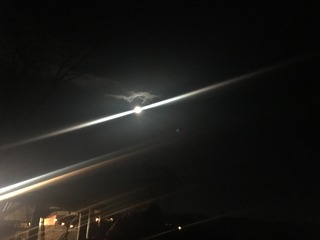 D0008A3A-7C06-4141-97D5-199EB0824179.jpeg