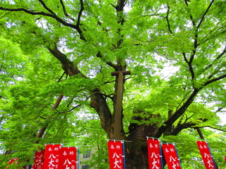 D2F42BA1-EF27-41DD-8455-5C2C38CC3FA0.jpeg