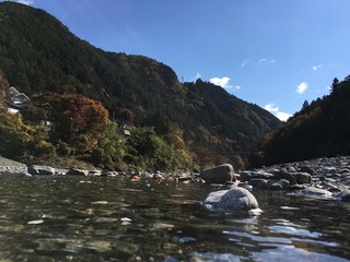 D348DDE2-97AB-449F-9002-A1AB0EF9E568.jpeg