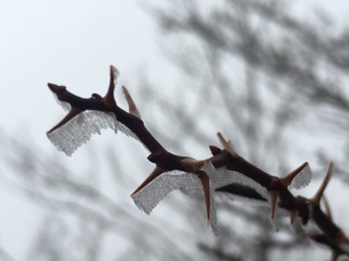 D3C6D8CA-358A-472C-BB9F-85655B5C2C49.jpeg
