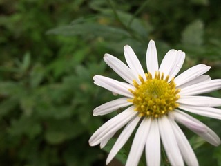 D3D2E9F8-5776-476E-8B1C-B0E3B16CB132.jpeg
