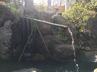 D5316289-8866-4205-B175-B07F5D371286.jpeg