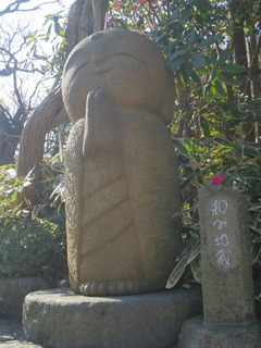 D623727A-B34B-446D-834A-2A08F72F860B.jpeg