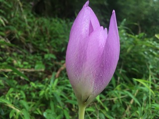 D63A6BE4-A056-4EE3-B47B-00CB578E72B2.jpeg
