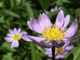 D6778A5A-C276-4F10-9590-85C3B2DD3500.jpeg