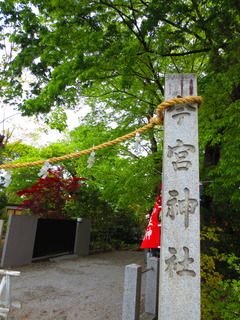 D79308A4-D329-4E83-B912-5B4366623770.jpeg