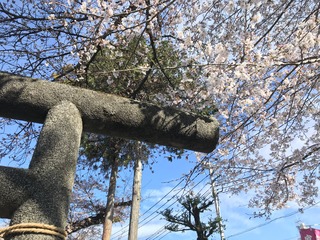 D9E9A4BA-526D-4DCA-BE3E-BCBCF6756209.jpeg