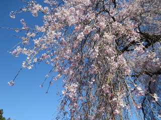 DB8F609C-9BF4-44C9-AAB0-CF85CFC2B8F3.jpeg