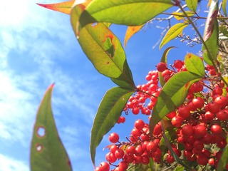 DBCB2EA5-46CA-4FE1-B058-2DB1FD4383B8.jpeg