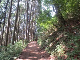 DCE36A78-A16F-48A0-A861-2FB1EC277B37.jpeg