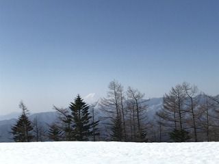 DF102097-240E-47C5-B981-18B638EC3078.jpeg