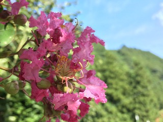 E250387D-6B37-425A-9D47-59B64A99C666.jpeg