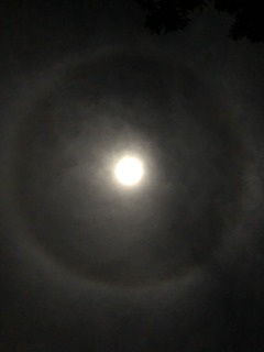 E25CB890-2D7E-4E5F-B3C8-296A9C9C7369.jpeg