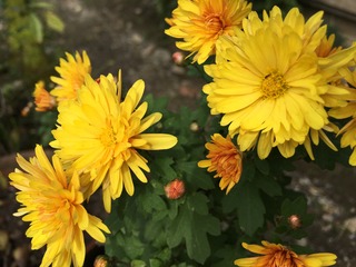 E7D2767F-EAAE-4666-818B-A9D8D03DE408.jpeg