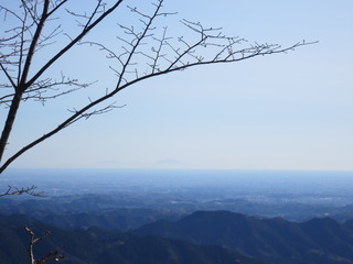 E7ED1C9B-B3E1-4DB7-BC91-C4066D9BE651.jpeg