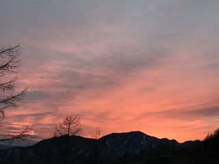 E8105AAC-873A-45C5-86FF-EDF84499148E.jpeg